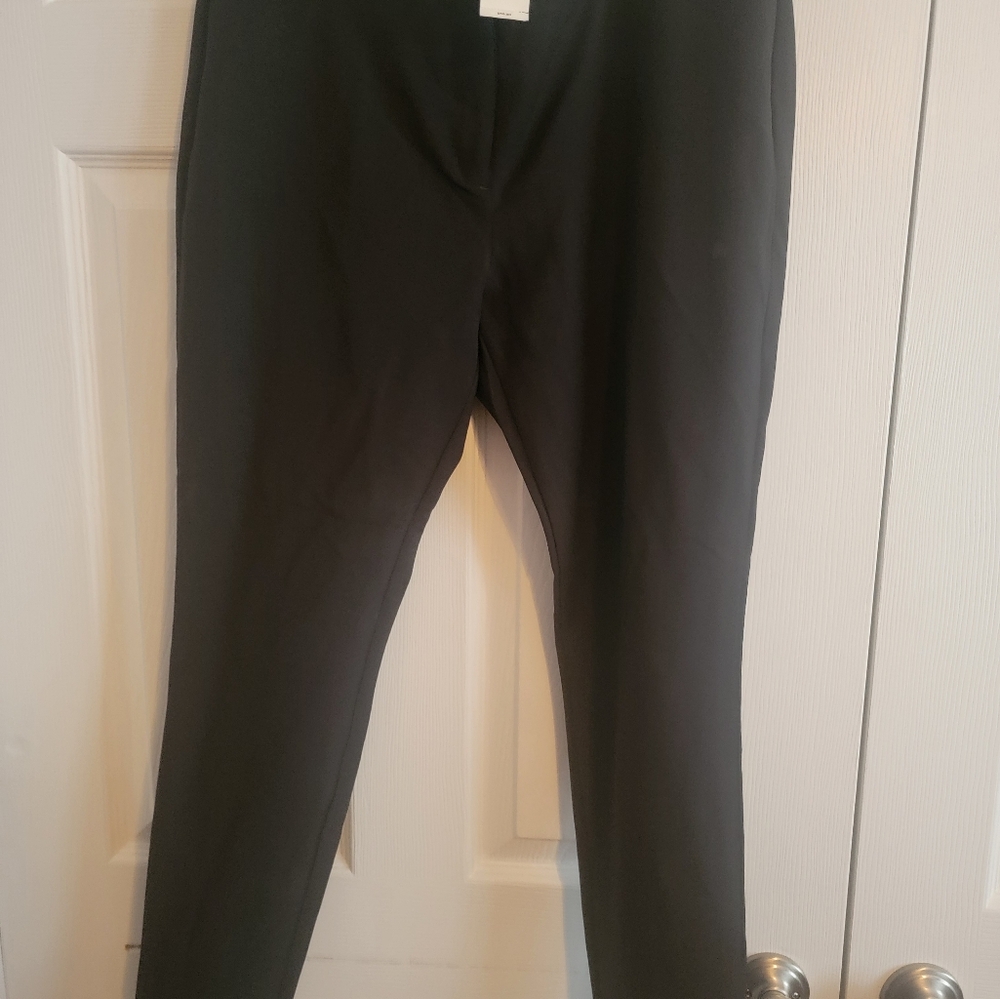NWT Express brand women straight legged dress pant size 10